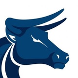 Blue Toro Mobile Mechanics Wagga Wagga, Bourkelands