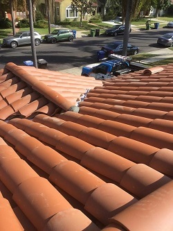  Profile Photos of Roof Repair Specialist 1061 N. Victory Pl. - Photo 4 of 4