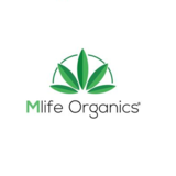 Mlife Organics, Studio CIty