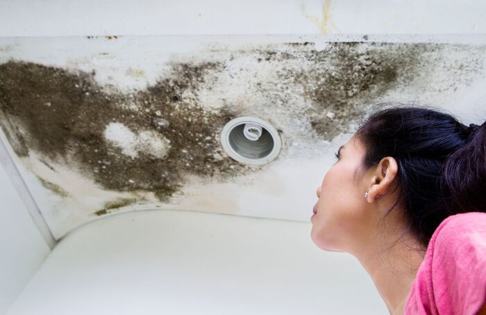  Profile Photos of Water Damage Experts of Orange County 1424 Ocean Ave - Photo 1 of 1