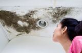 Water Damage Experts of Orange County, Seal Beach