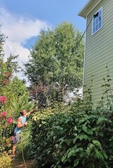  Superior Exteriors Cleaning Company 2103 Geneva Drive 