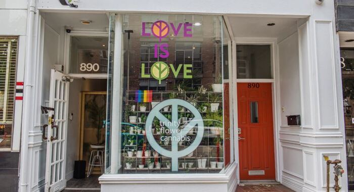  Trinity Flower - Toronto Cannabis Store of Trinity Flower Toronto 890 Queen Street West - Photo 6 of 7