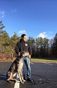  Profile Photos of The Hyper Pup PO BOX 1153 - Photo 4 of 4