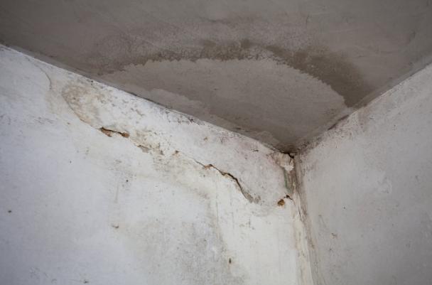 New Album of Stucco Repair Orlando 3114 Houndsworth Court Suite 508 - Photo 5 of 5