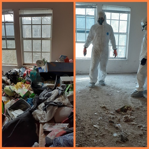  Pricelists of Dump My Junk LLc 601 North Ashley Dr. Suite 1100-3071 - Photo 8 of 8