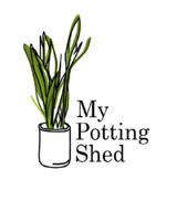 My Potting Shed Ltd, Cupid Green