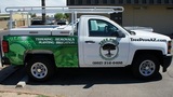 Tree Pros, LLC, Phoenix