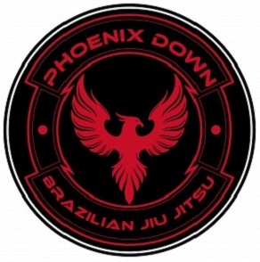  Profile Photos of Phoenix Down Brazilian Jiu Jitsu 2050 Boyson Rd Suite 104 - Photo 1 of 4