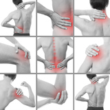  Chiropractic of Naples 3940 Radio Road #105 