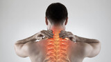  Chiropractic of Naples 3940 Radio Road #105 