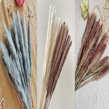  New Album of ALL PAMPAS GRASS 5174 Richmond Avenue - Photo 1 of 1