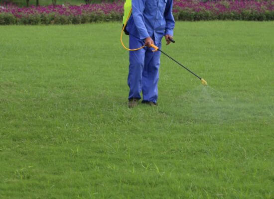  Profile Photos of Get Pest Control Centurion Clubview - Photo 9 of 9
