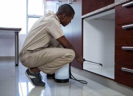  Profile Photos of Get Pest Control Roodepoort Weltevredenpark - Photo 4 of 10