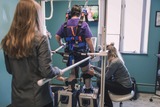  Restore Ortho Physical Therapy - A Crawl Walk Jump Run Clinic 42850 Garfield Rd STE 103 