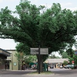  Willow Park Village 10816 Macleod Trail 
