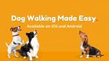 Spot Dog Walkers, Edmonton
