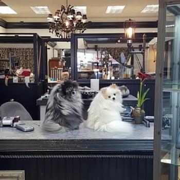  Profile Photos of Fagan Diamond Jewelers 105 East 2nd Street - Photo 4 of 4