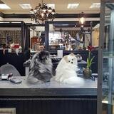 Fagan Diamond Jewelers, Casper