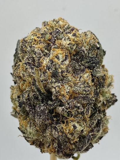  Profile Photos of Weed Delivery Online Aurora Dispensary - - Photo 1 of 1