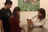 WellCare Veterinary Services, Chicago