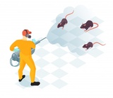 Pest Control service Brampton ON, Vanquish Pest Control, Brampton