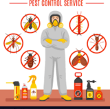Pest Control service Brampton ON, Vanquish Pest Control, Brampton