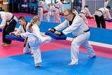 Premier Sport Taekwondo, Grafton