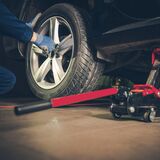 Automotion, Fort Myers