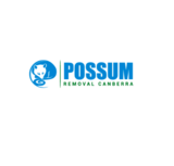 Possum Removal Canberra, Canberra