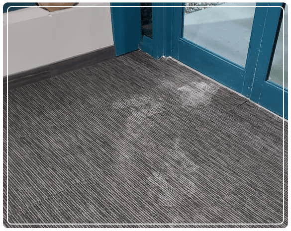  Profile Photos of Carpet Cleaning Hoppers Crossing 14 Cameron Drive - Photo 2 of 4