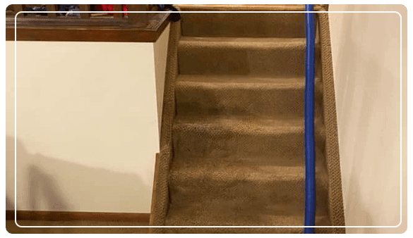  Profile Photos of Carpet Cleaning Hoppers Crossing 14 Cameron Drive - Photo 3 of 4