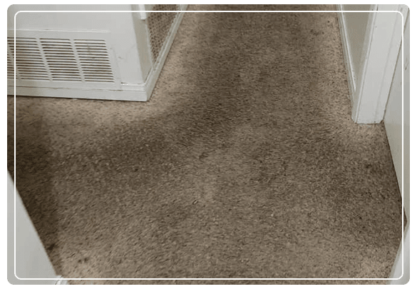  Profile Photos of Carpet Cleaning Hoppers Crossing 14 Cameron Drive - Photo 4 of 4