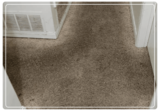  Carpet Cleaning Hoppers Crossing 14 Cameron Drive 