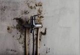 ALL US Mold Removal & Remediation Corpus Christi TX, Corpus Christi