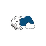  MoonSpace Pty Ltd Suite 3318, 903/50 Clarence Street 