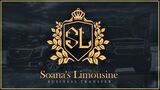  Soanaâ€™s Limousine 2727 Halstead dr 