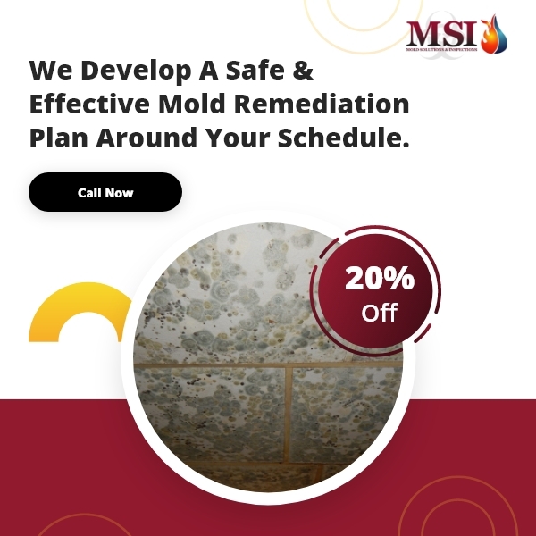  Profile Photos of Mold Solutions & Inspections 4400 Route 9 South, Suite 1000 - Photo 3 of 6