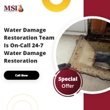  Mold Solutions & Inspections 4400 Route 9 South, Suite 1000 