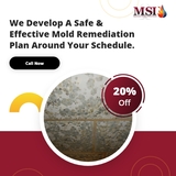 Mold Solutions & Inspections, Freehold