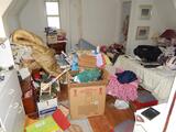 Mold Solutions & Inspections, Freehold