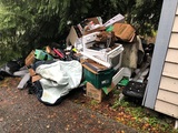The Bulk Removal Company, Woodinville
