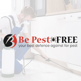 Spider Control Adelaide, Adelaide
