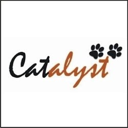  Profile Photos of Catalyst Consulting Services 158, Lenin Sarani, Basement Room No 43,dharmatala - Photo 1 of 2