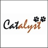 Catalyst Consulting Services, kolkata