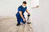 Termite Control Melbourne, Melbourne