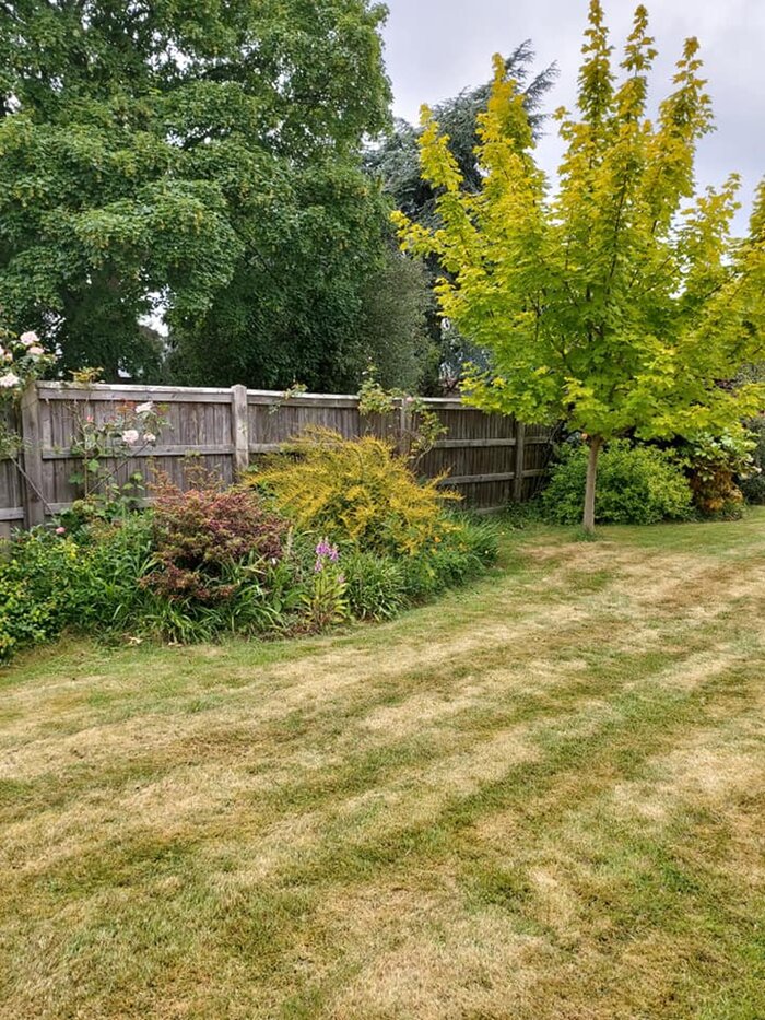  New Album of TKL Birmingham Gardener 423 Court Oak Rd - Photo 17 of 17