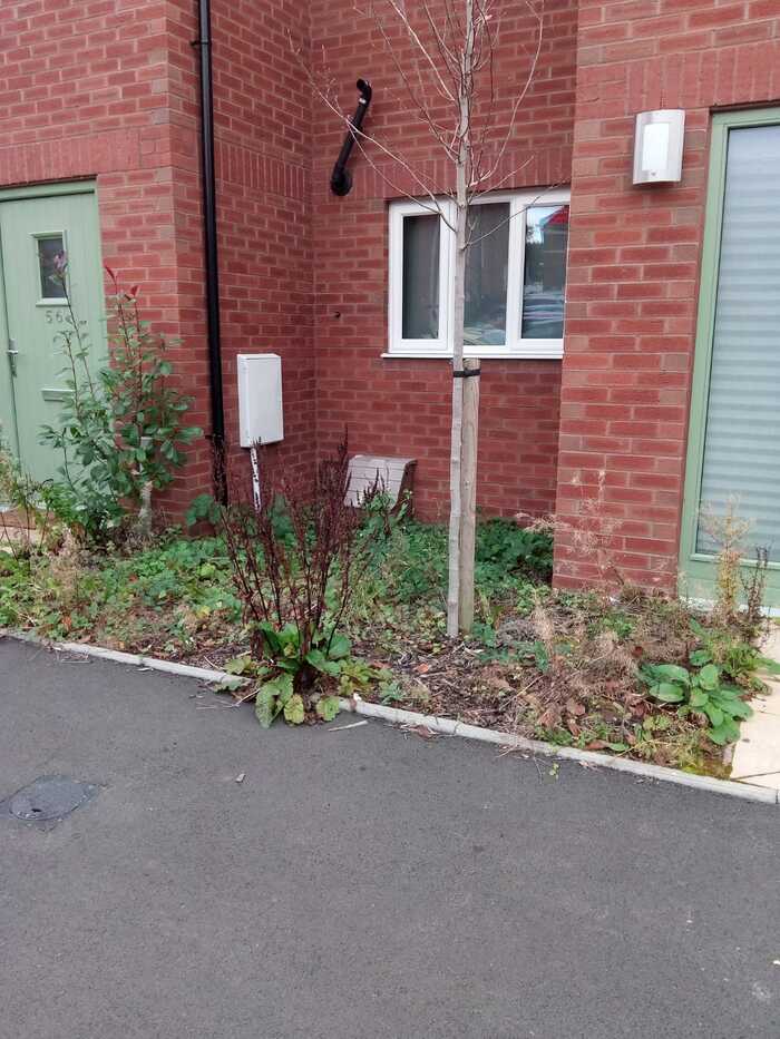  New Album of TKL Birmingham Gardener 423 Court Oak Rd - Photo 13 of 17