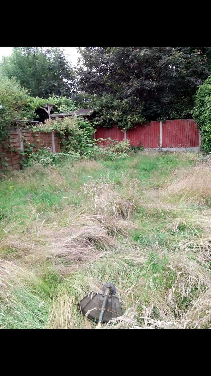  New Album of TKL Birmingham Gardener 423 Court Oak Rd - Photo 6 of 17