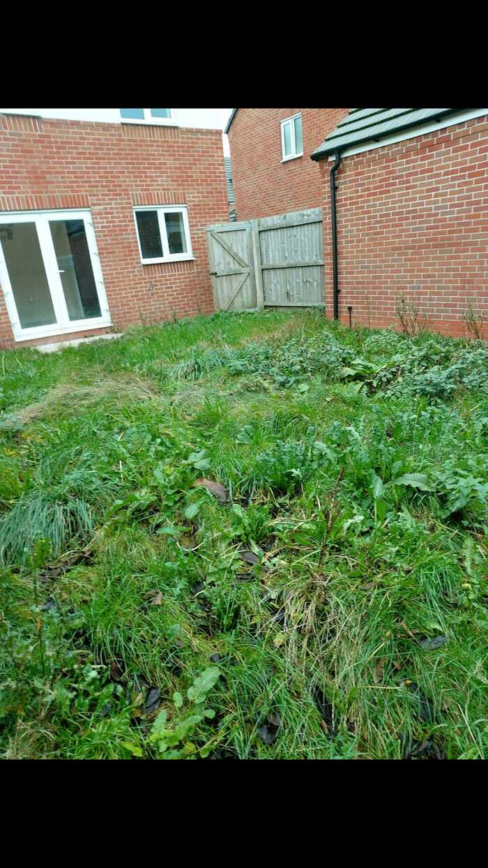  New Album of TKL Birmingham Gardener 423 Court Oak Rd - Photo 4 of 17